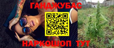 прущие крисы Тара